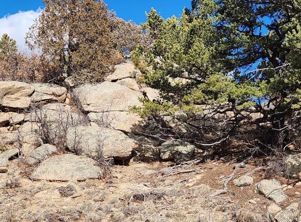 47 White Cloud Dr, Cotopaxi, CO 81223