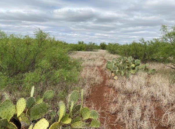 W I-20 S Service Rd, Westbrook, TX 79565