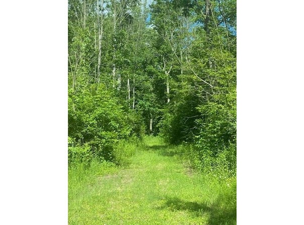 Valpine Dr, Battle Creek, MI 49017