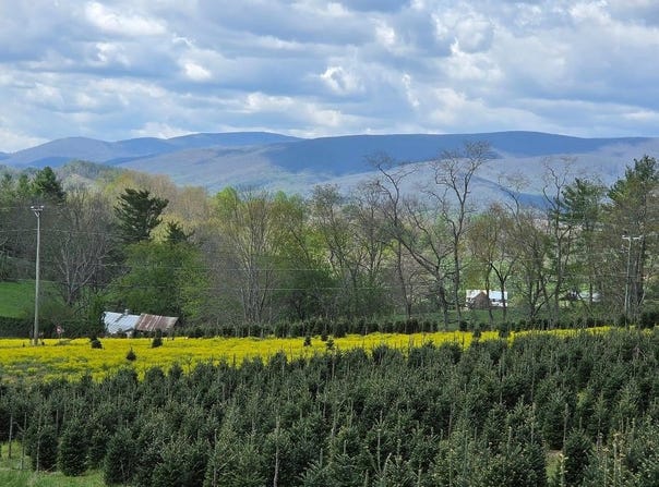 Rabbit Fork Rd lot: 0, Troutdale, VA 24378