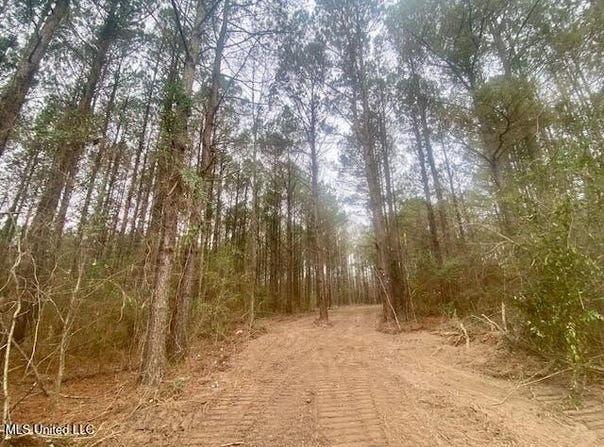 Crawley Road, Columbia, MS 39429