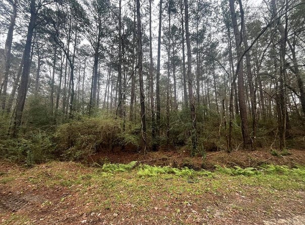 PID #36355 County Road 828, Vidor, TX 77662