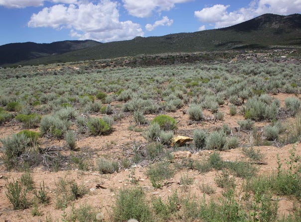 Shirley Drive lot: 12, Questa, NM 87556
