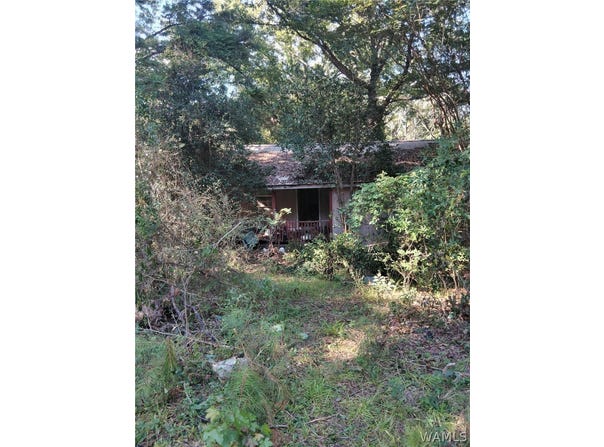 11647 IVORY Lane, Cottondale, AL 35453