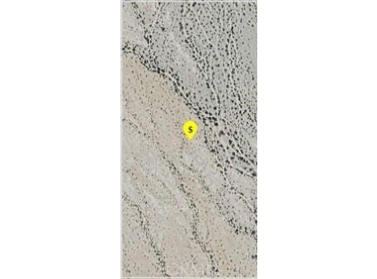 Vacant Land, Desert Center, CA 92239
