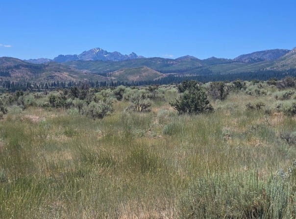 18 Sunrise Trail, Markleeville, CA 96120