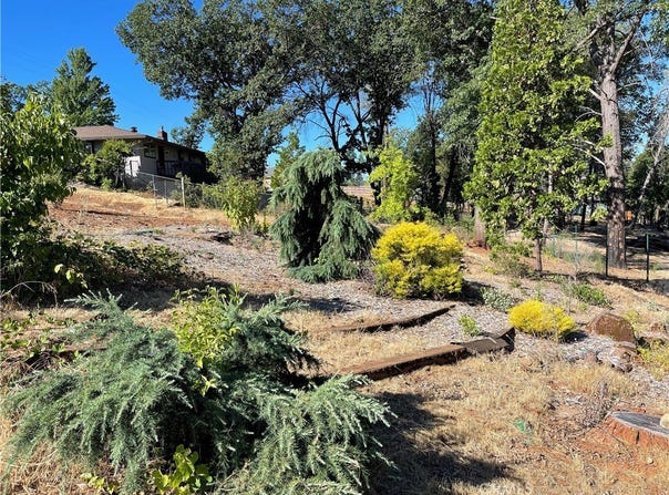 237 Redbud, Paradise, CA 95969