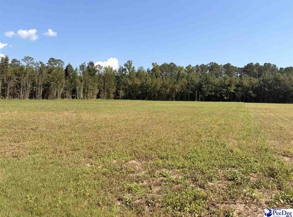 1420 Kelley Rd., Olanta, SC 29114