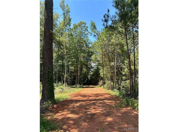 193 6th street NE, Reform, AL 35481