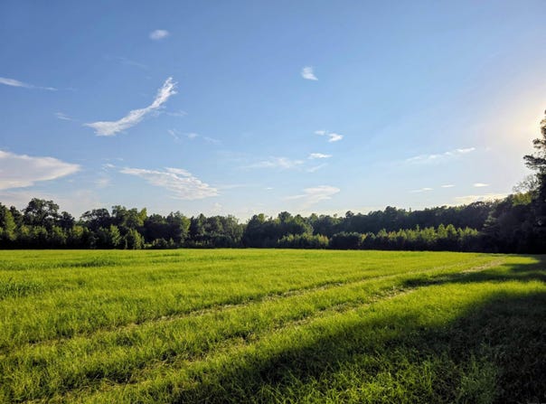HWY 63, Rison, AR 71665