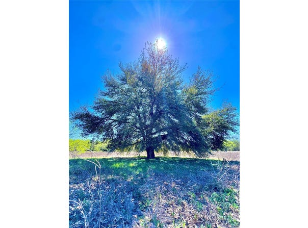 3775 Baker Rd, Kingsbury, TX 78638