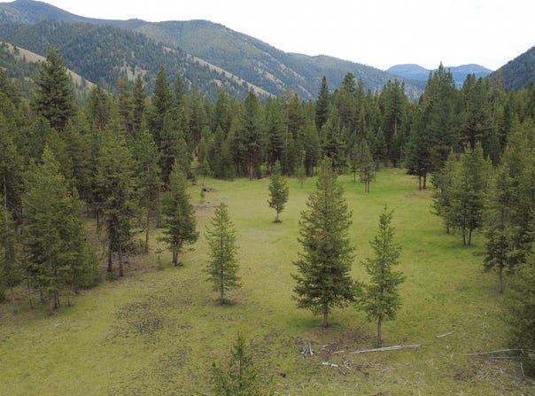 Tract A West Meadow Road, Darby, MT 59829