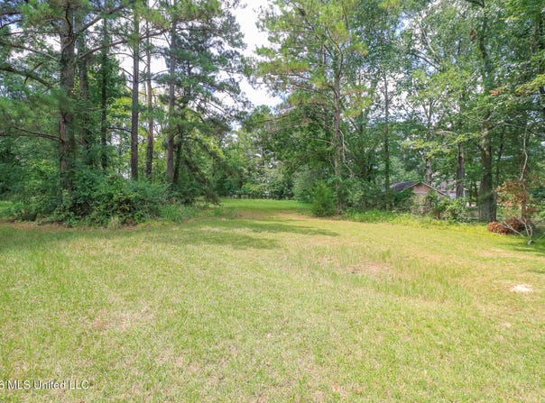 Woody Drive, Brandon, MS 39047