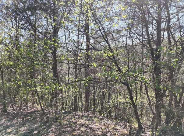 Gumbo Woods lot: #46, Shell Knob, MO 65747