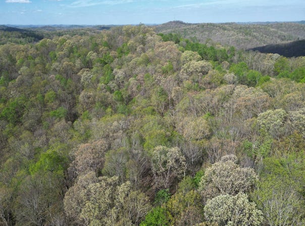 Spice Ridge Road, Procious, WV 25164