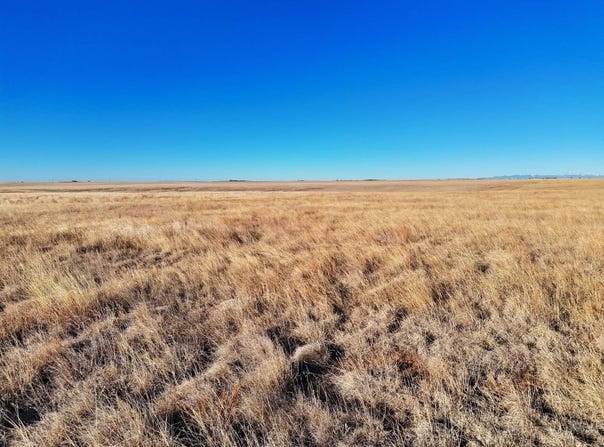 County Road 141, Rush, CO 80833
