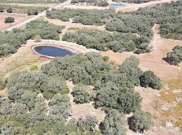 Danforth Road, Goliad, TX 77963