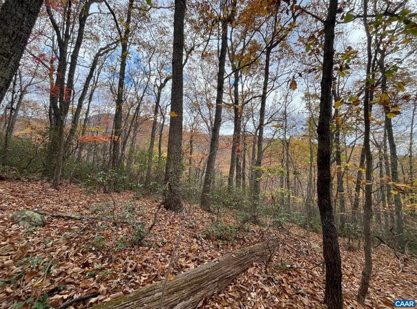 TREE HOUSE PL, NELLYSFORD, VA 22958