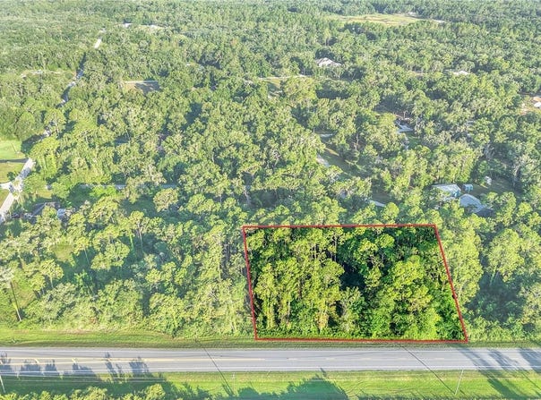 TREIMAN Boulevard, WEBSTER, FL 33597