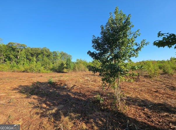 Butler Road, Franklin, GA 30217
