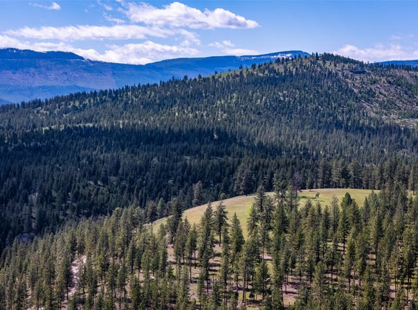 3605 Hubbart Dam Road, Marion, MT 59925