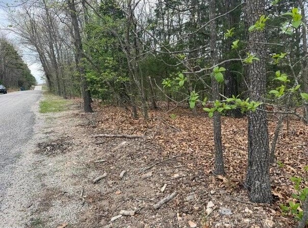 Entry Road lot: 10, Ridgedale, MO 65739