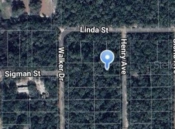 HENRY Avenue, INTERLACHEN, FL 32148