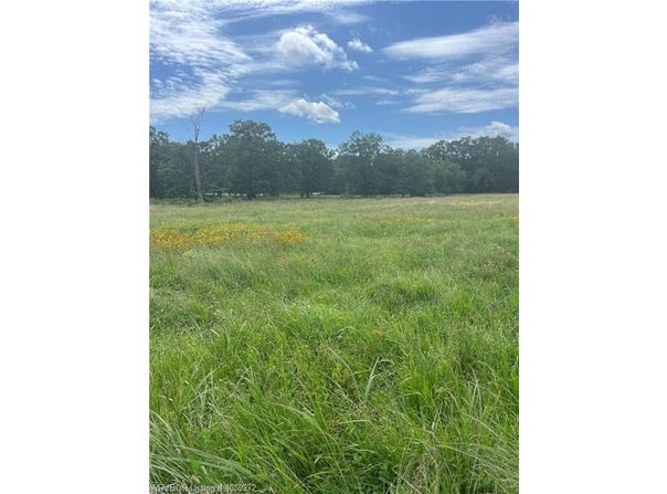 Tract 1819 Bean Patch LOOP lot: 18 & 19, Howe, OK 74940