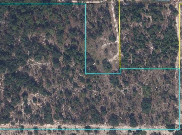 LADY BUG Lane, Melrose, FL 32666