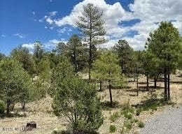 3377 Whisper Lane, Heber, AZ 85928