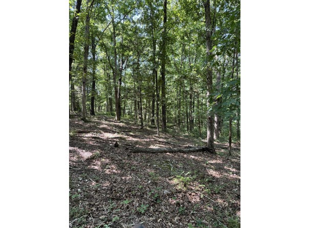Clear Sky Drive, Marshfield, MO 65706