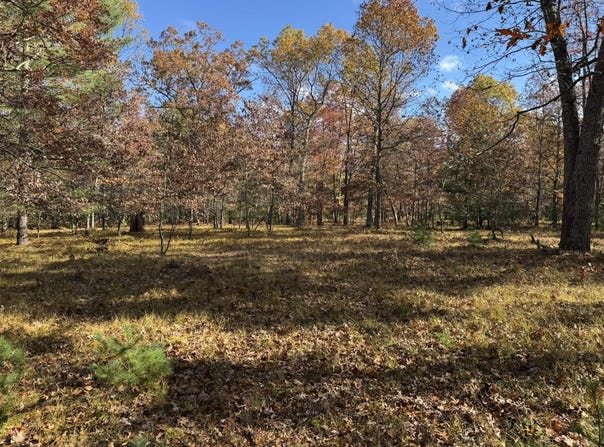 Parcel 11 County Line Road, Free Soil, MI 49411