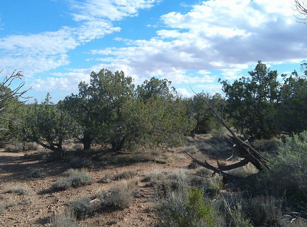 4123 W Juniper Road, Snowflake, AZ 85937