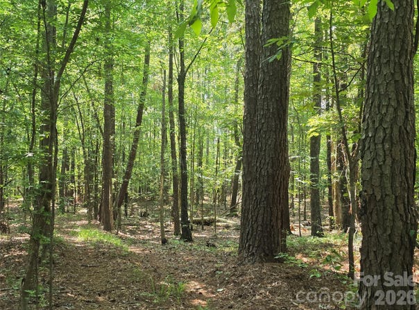 Hoke Road, Heath Springs, SC 29058