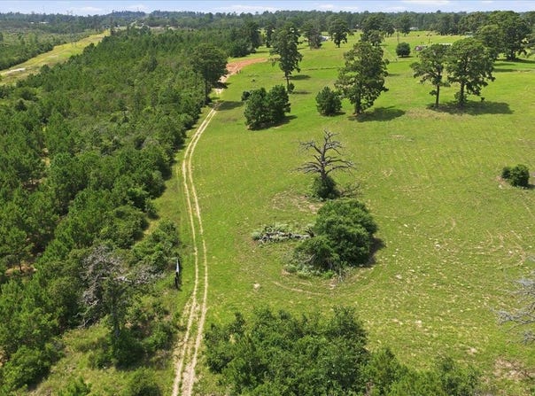 Hwy 21 E, Bastrop, TX 78602