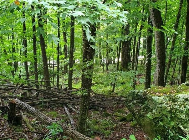 Throncliff Drive lot: 81, Seven Devils, NC 28607