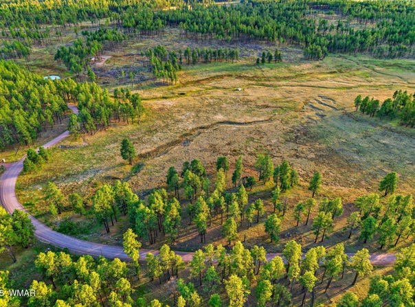 1A FOREST ROAD 26, Alpine, AZ 85920