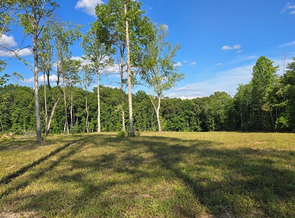 80+/- AC Red Hill Road, Sunbright, TN 37872