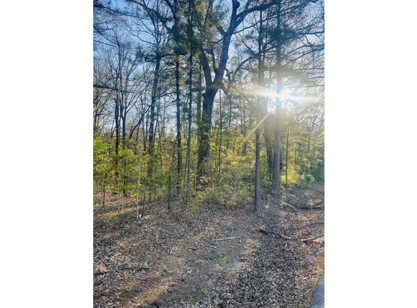 Hoover Lane, Monticello, AR 71655