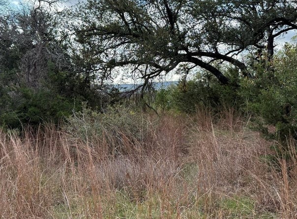 L28 Lipan Apache Run lot: 28, Blanco, TX 78606