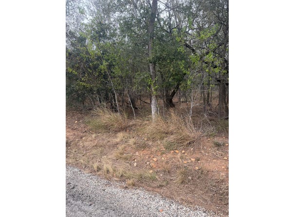 Riverside Dr lot: 298, 300, Bastrop, TX 78602