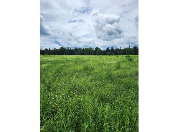 State Route 374, Chateaugay, NY 12920