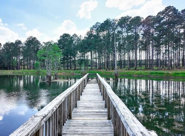 1197 Vonier Rd., Pavo, GA 31778