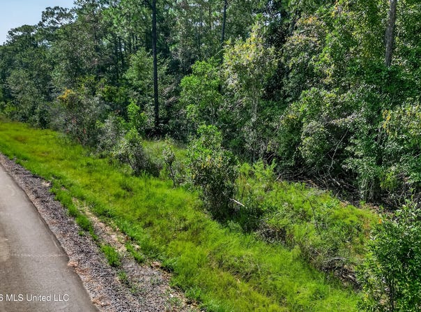 Aila Street lot: 10, Diamondhead, MS 39525