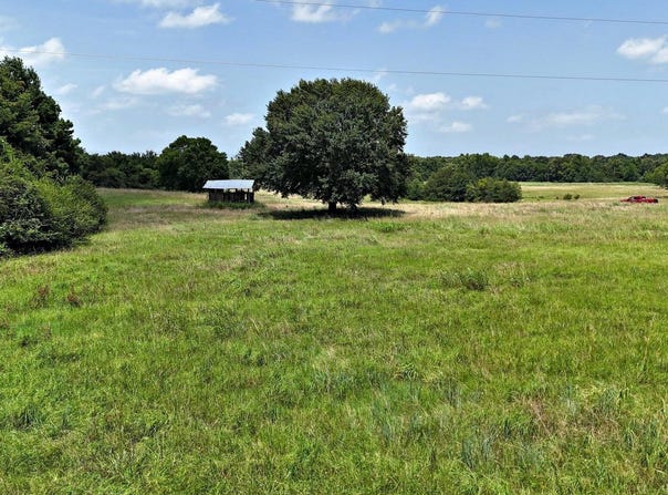 Polk Road 283, Hatfield, AR 71945