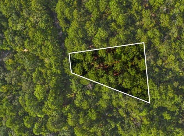 Sassafras lot: 196, Brookeland, TX 75931