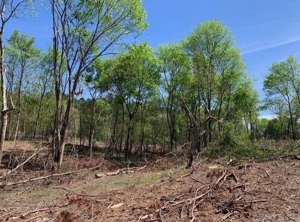 Tract 4 Coop Trail, Bismarck, AR 71929
