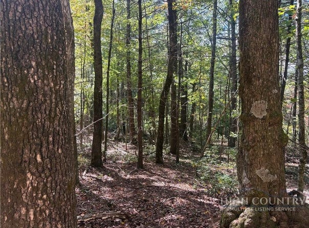Eagles Nest Lane lot: #24, Glade Valley, NC 28627