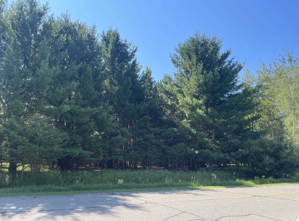 97 SALISBURY Drive, Gladwin, MI 48624