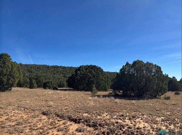 Serafina Road, Serafina, NM 87569